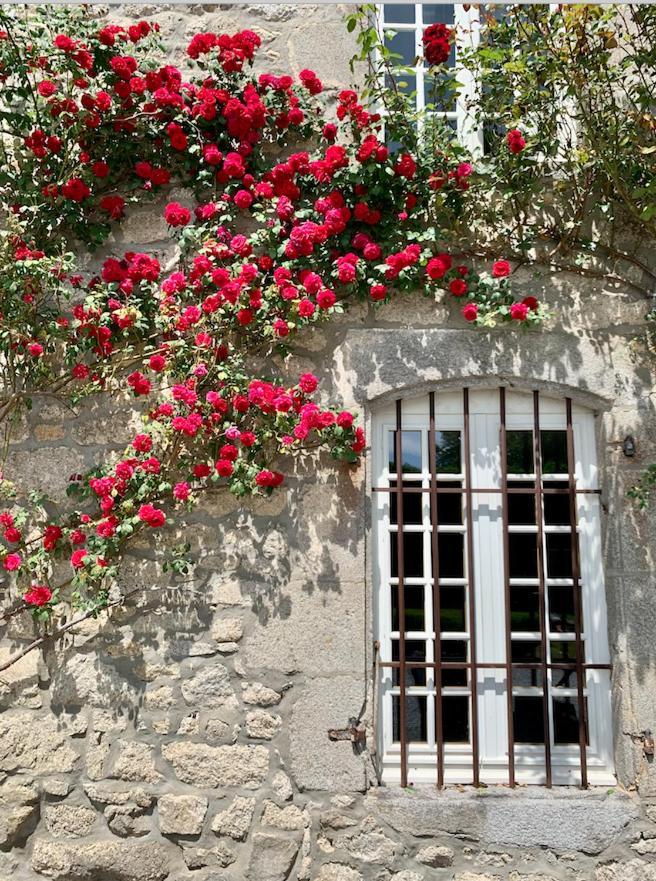 Chateau De La Borde A Ussel, Centre-Ville, Proche Autoroute A89 于塞勒 外观 照片